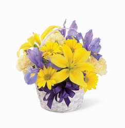 Spirit of Spring Basket from Visser's Florist and Greenhouses in Anaheim, CA